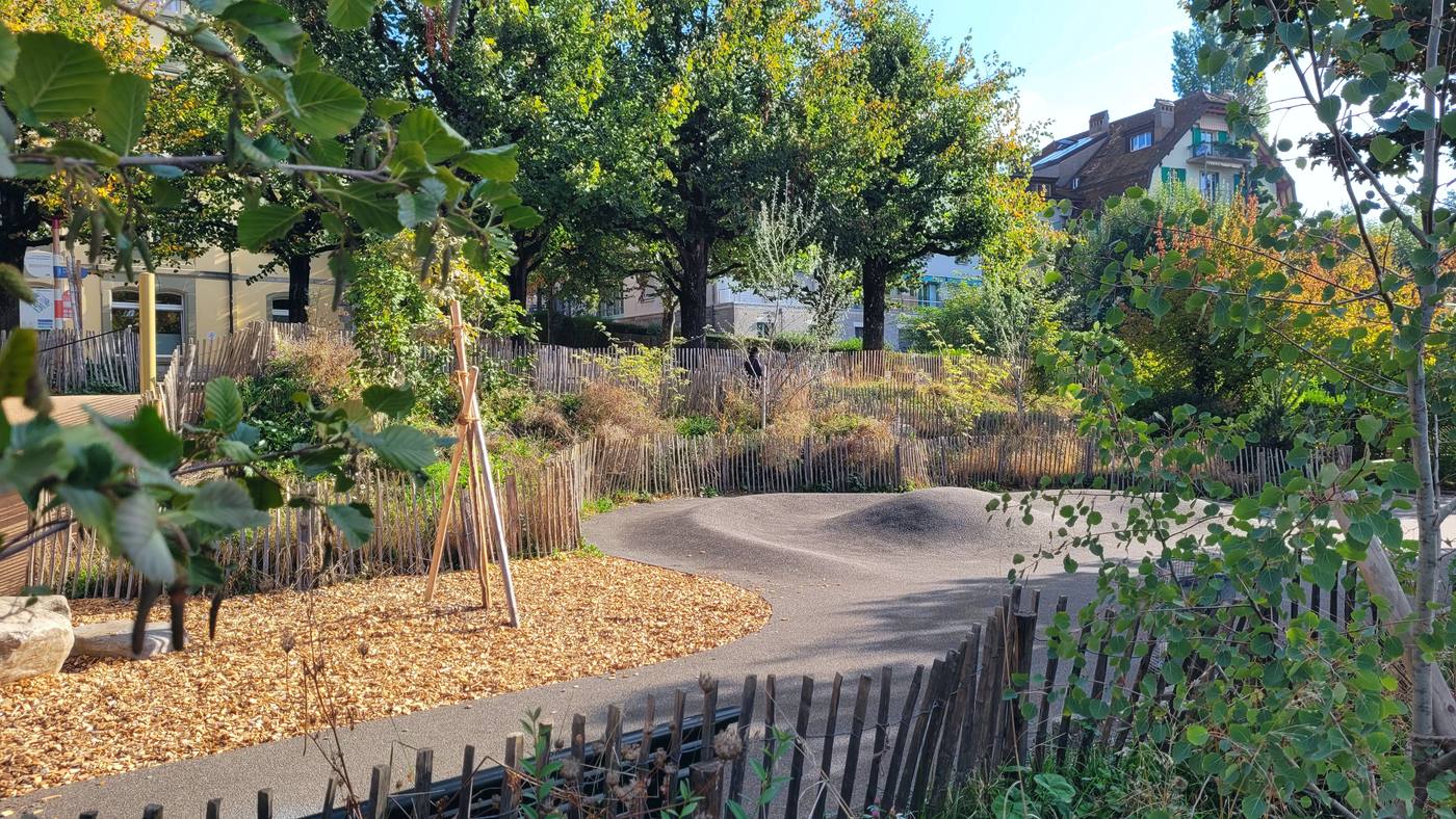 Sol en copeaux et piste à bosses en enrobé, encadrés de ganivelles et de massifs plantés