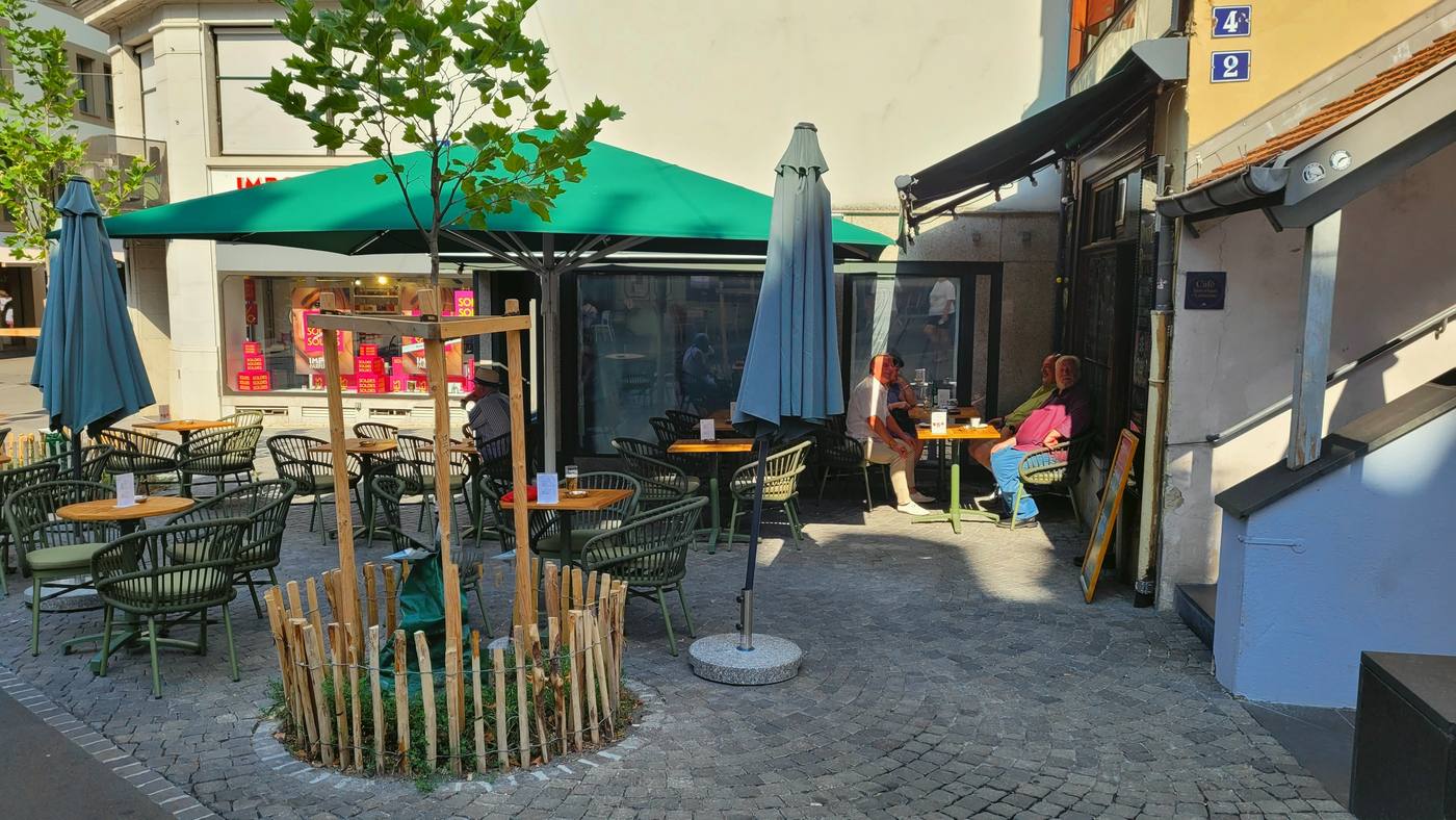 Terrasse de la Pinte Besson et son jeune arbre en été