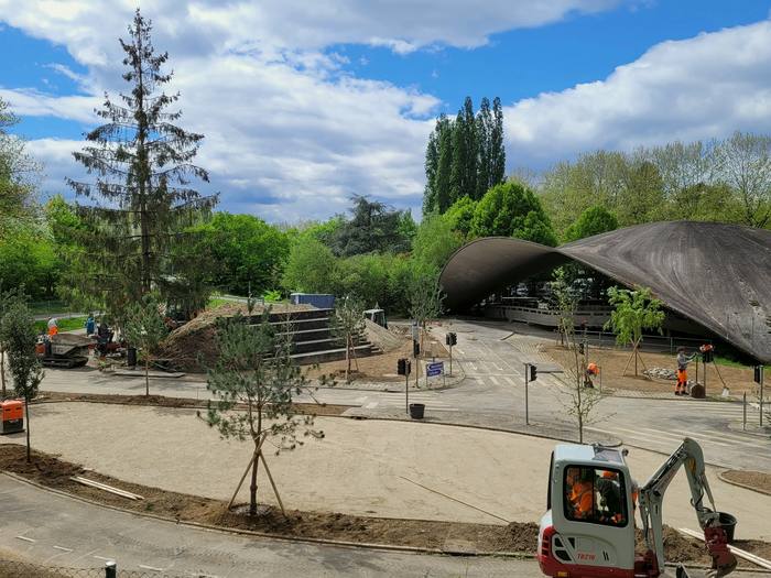 Vue d’ensemble du chantier : stabilisé, jeunes pins tuteurés et mini-pelle devant la coupole
