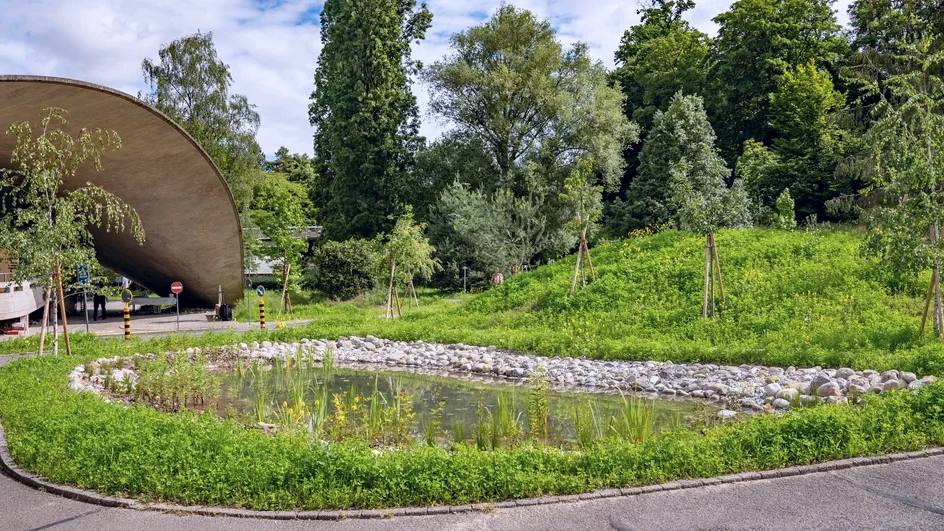 La coupole, l’étang planté et la butte enherbée avec ses jeunes arbres