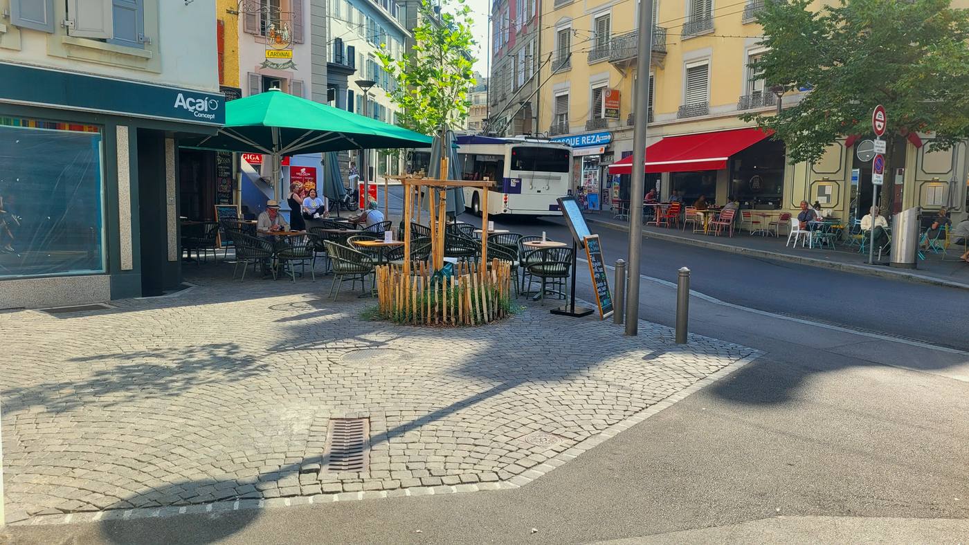 Arbre planté en fosse sur la place pavée, devant les commerces et les terrasses