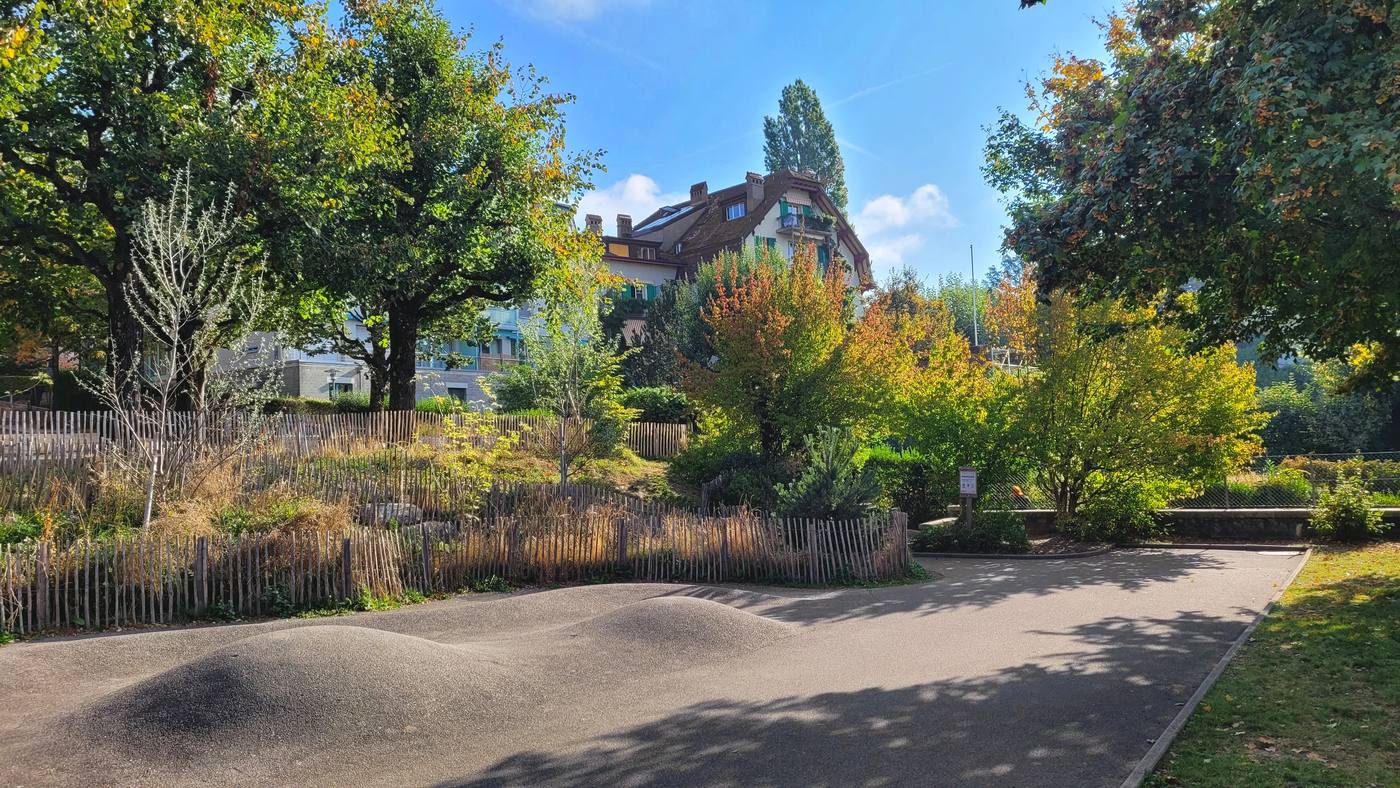 Piste à bosses en enrobé devant les massifs plantés en couleurs d’automne