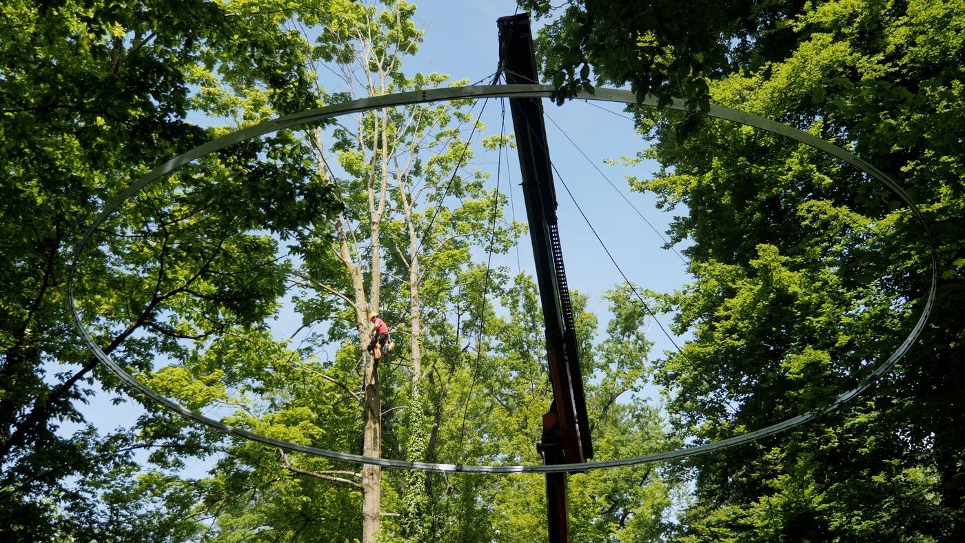 Pose d’un anneau suspendu dans les arbres de la Chamberonne