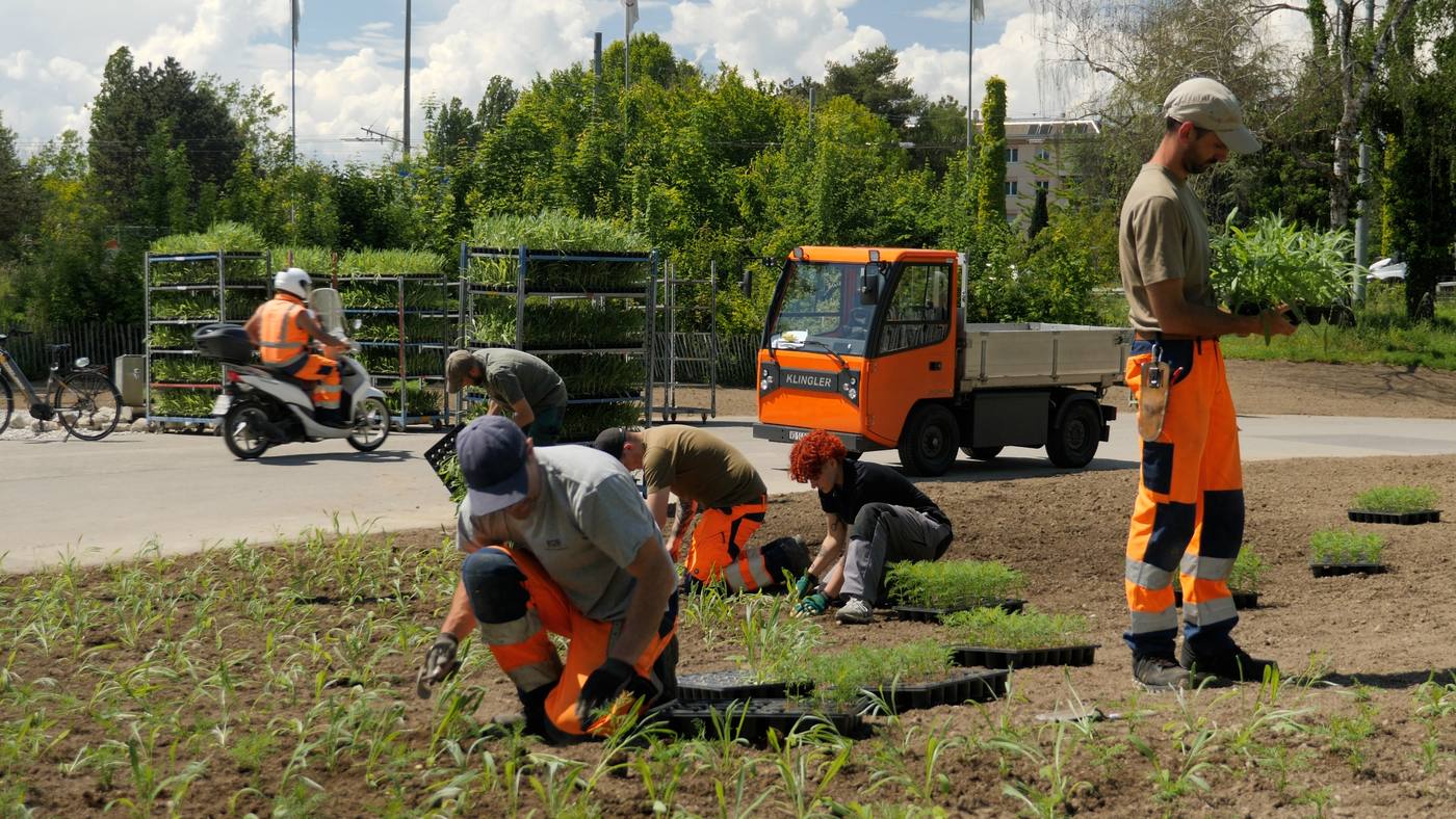 Équipe en train de planter au bord de la route