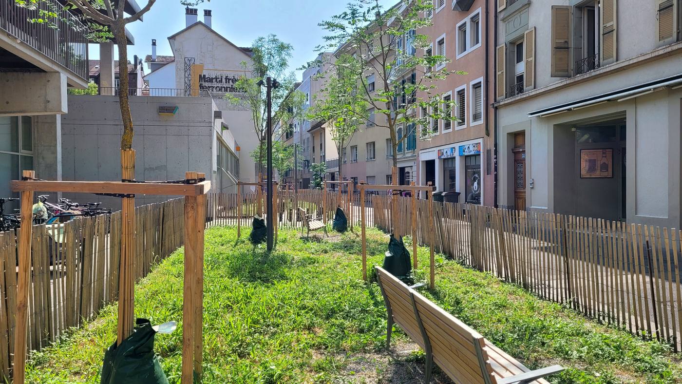 Prairie plantée avec bancs à l’ombre de jeunes arbres