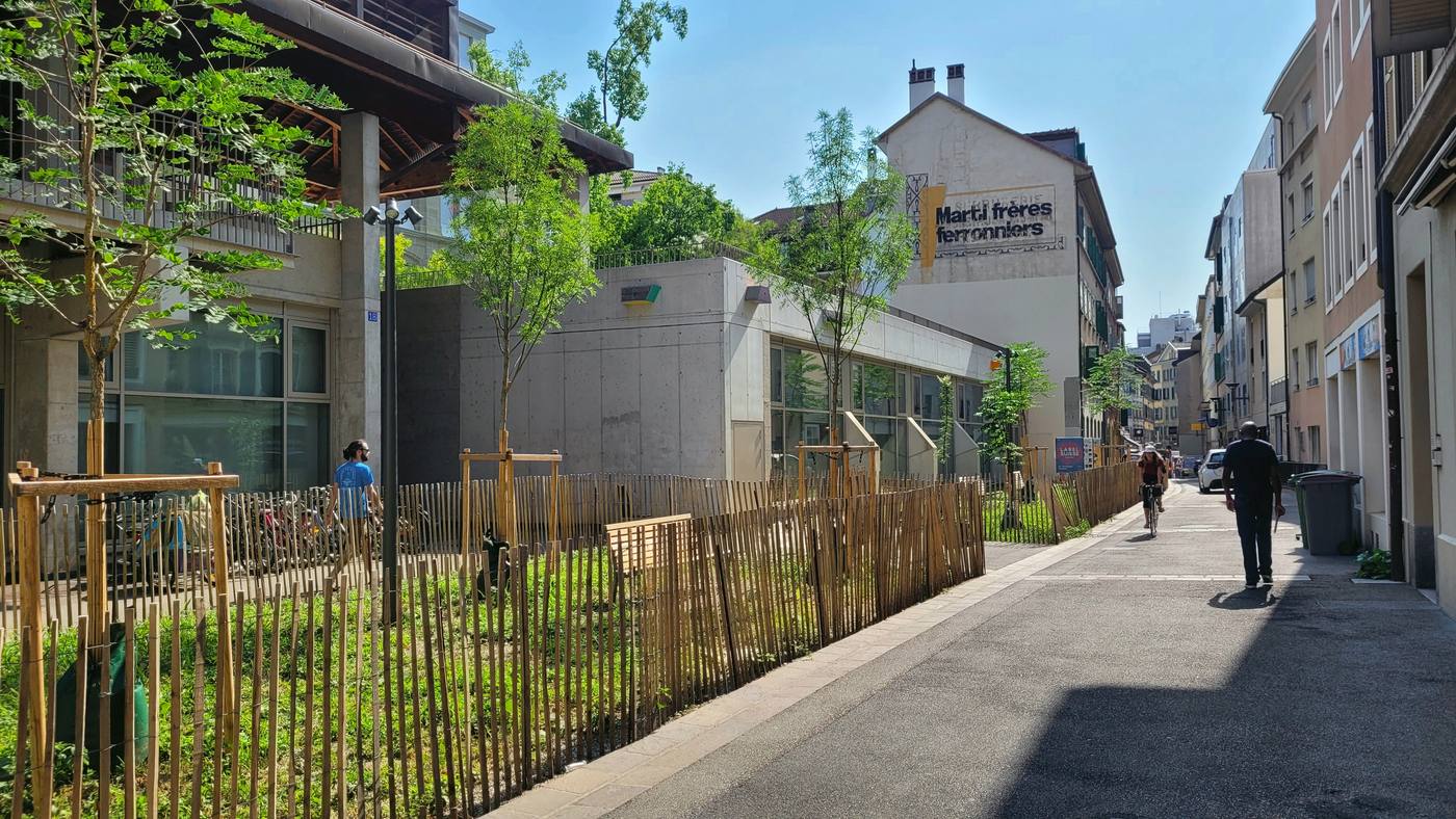 Rue de la Tour : jeunes arbres et prairie plantés le long de la rue