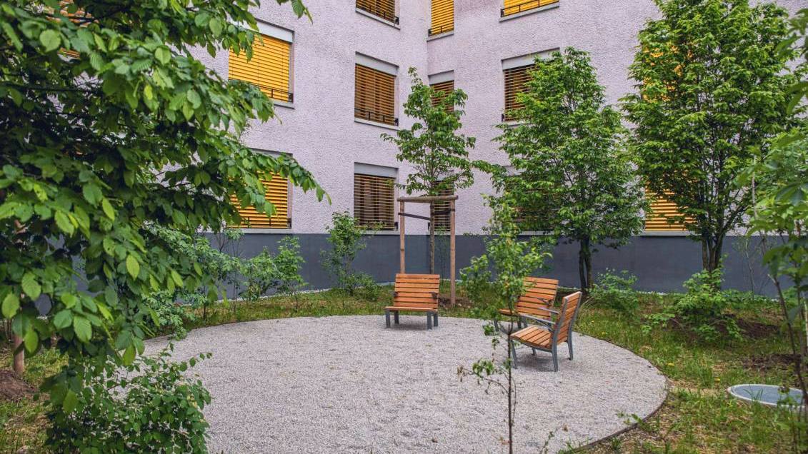 Cour plantée d’arbres autour d’une placette ronde en stabilisé