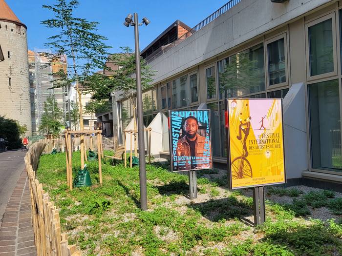Rue de la Tour après travaux, couvre-sols et jeunes arbres
