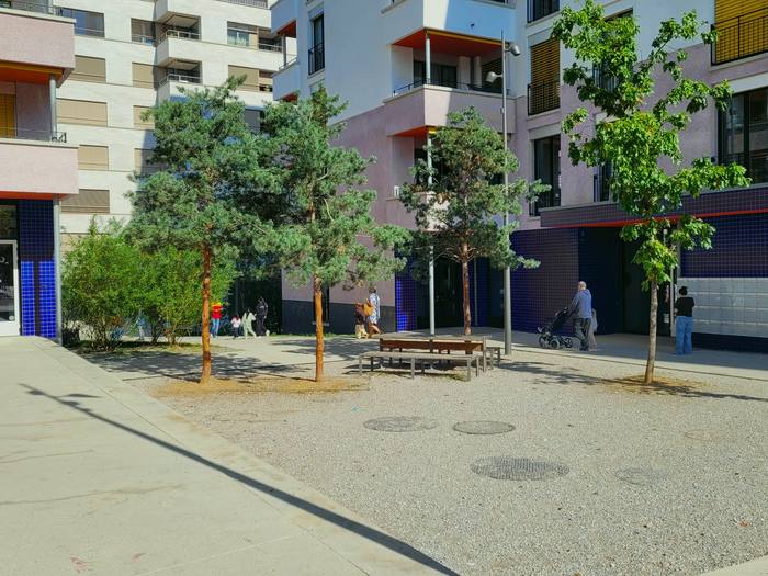 Placette en gravier plantée de jeunes arbres devant les entrées
